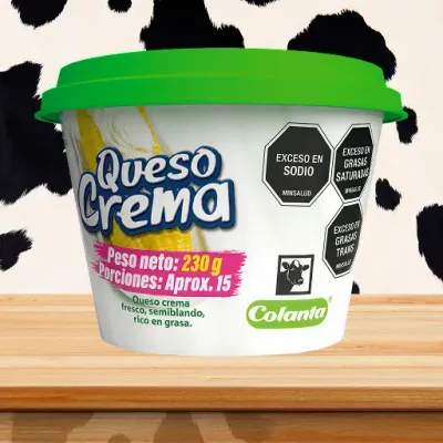 Queso Crema 230 g